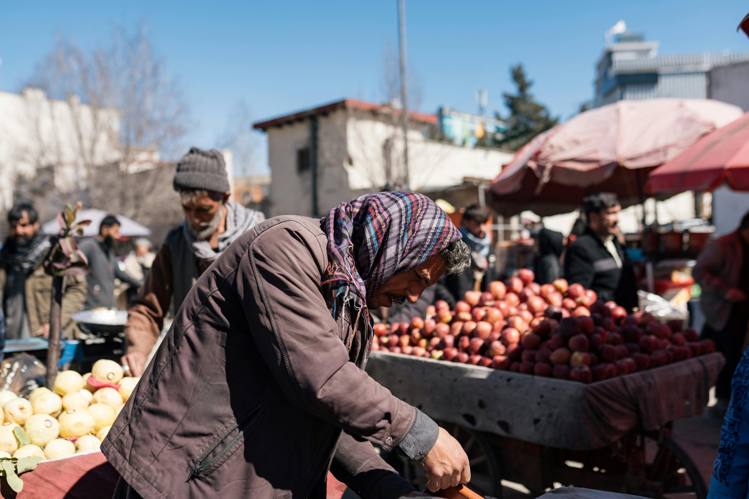 Ilustrasi apa singkatan dari hts