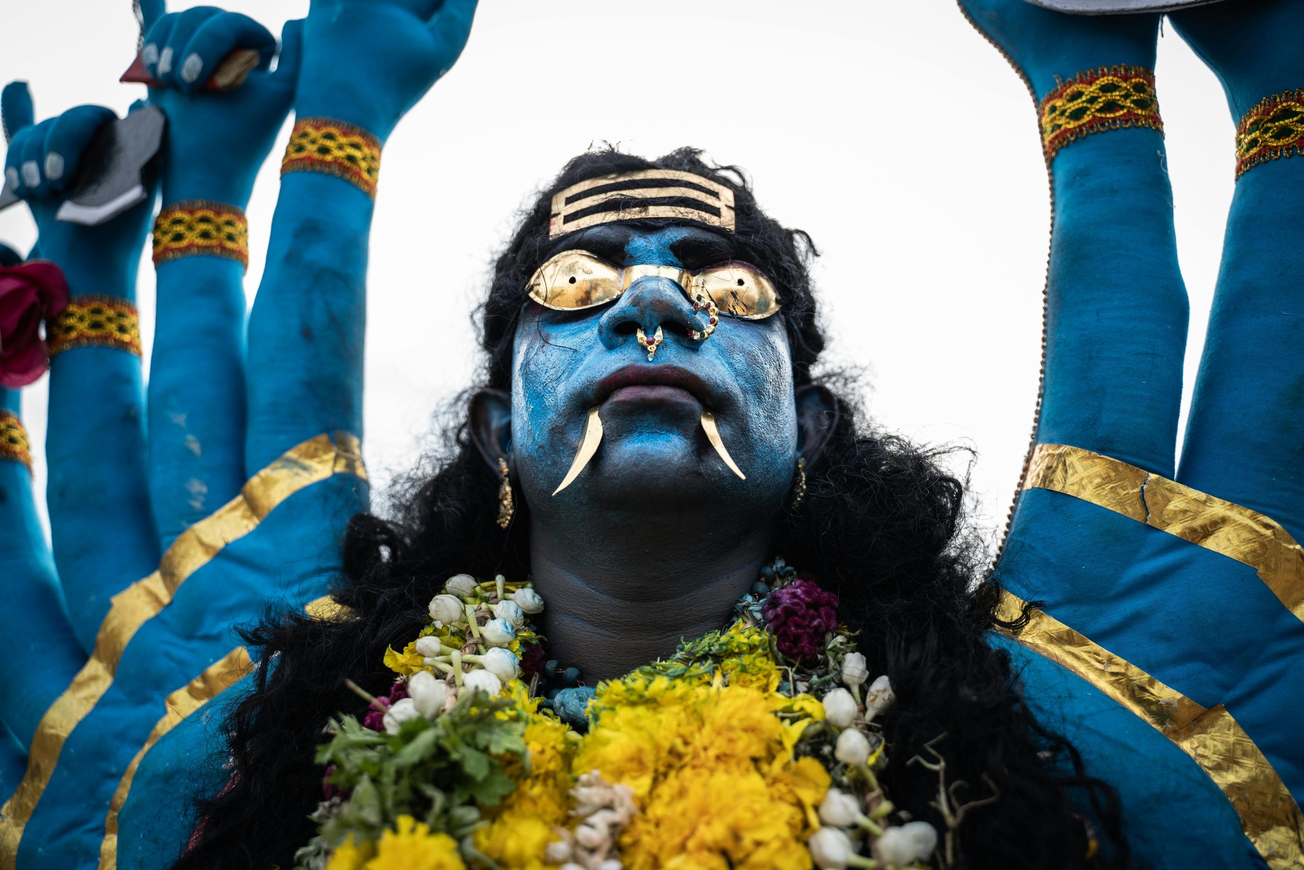 Ilustrasi bunyi tokek 5 kali artinya