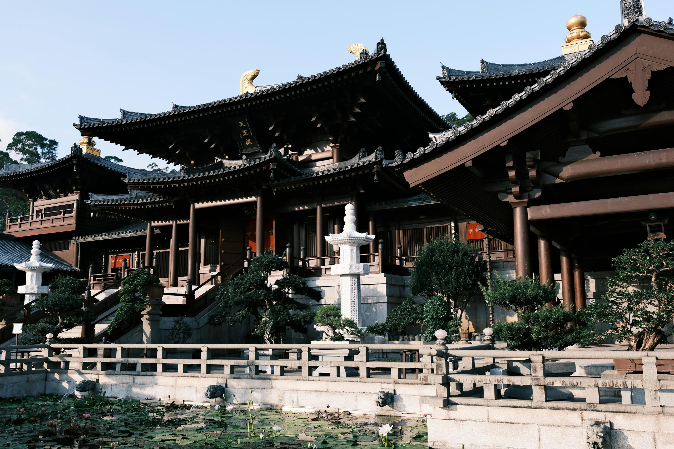 Ilustrasi sayur pagoda