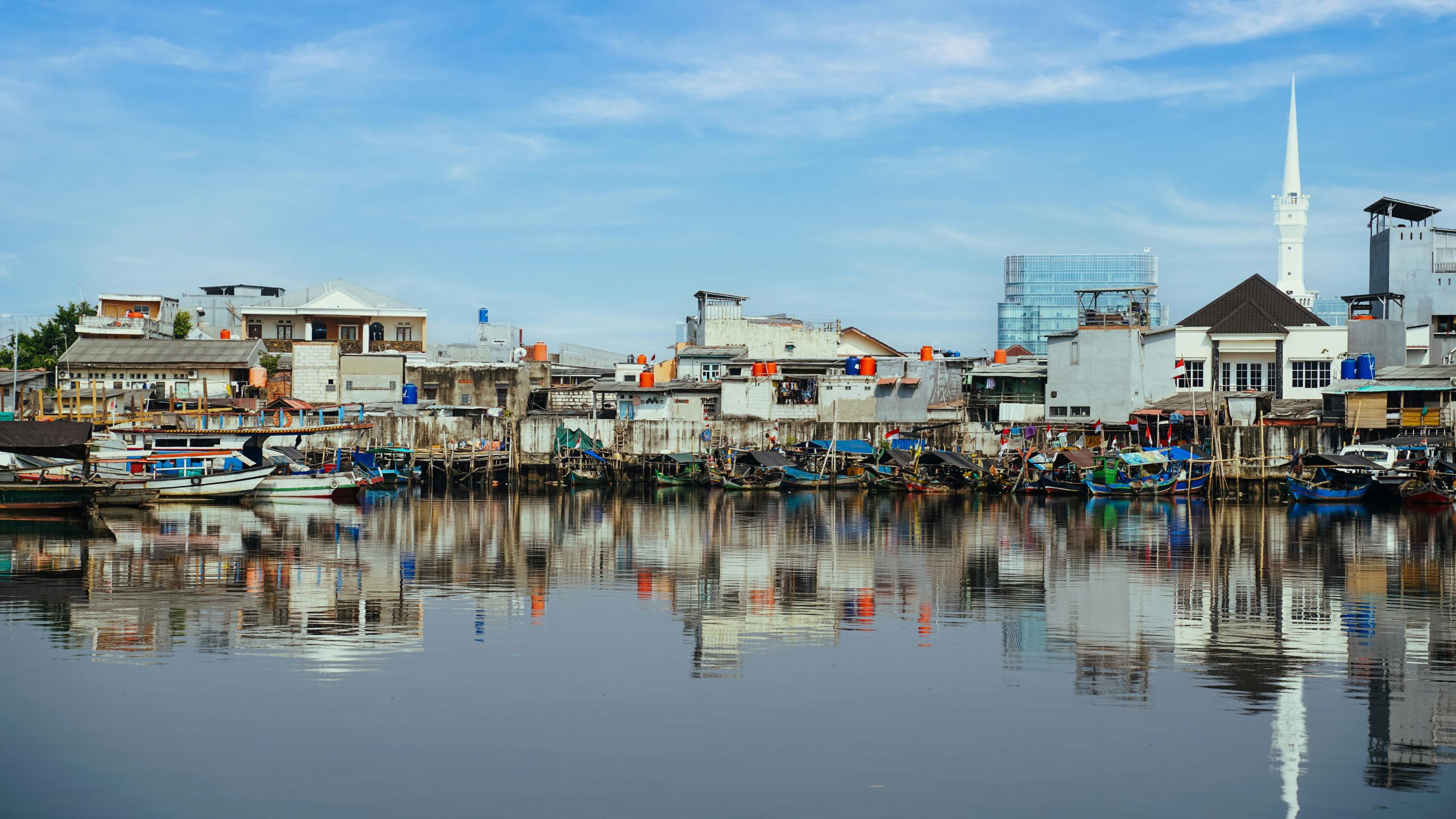 Ilustrasi sketsa ikan lele